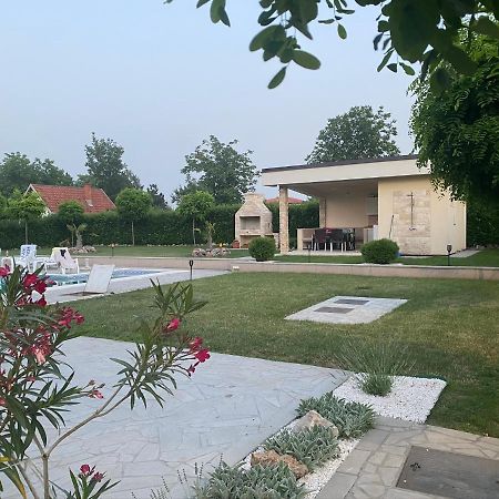 Vila Eleonora Beograd エクステリア 写真