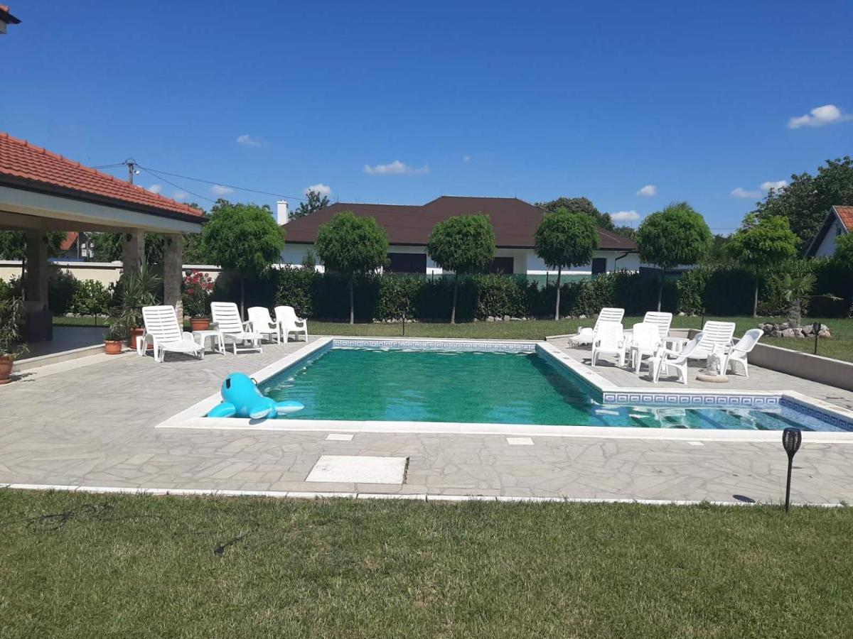 Vila Eleonora Beograd エクステリア 写真